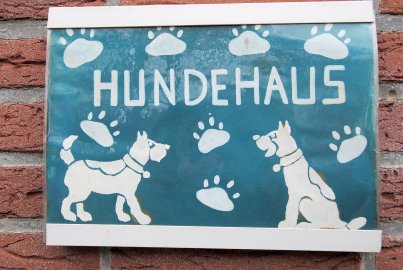 Tierheim Jübberde braucht mehr Geld - Bild 4
