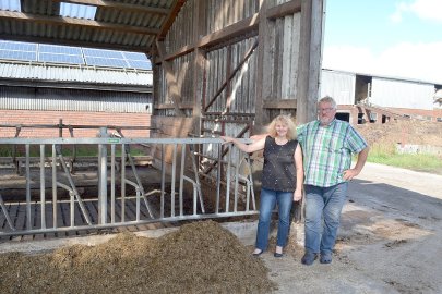 Neuer Legehennenstall in Neukamperfehn geplant - Bild 3