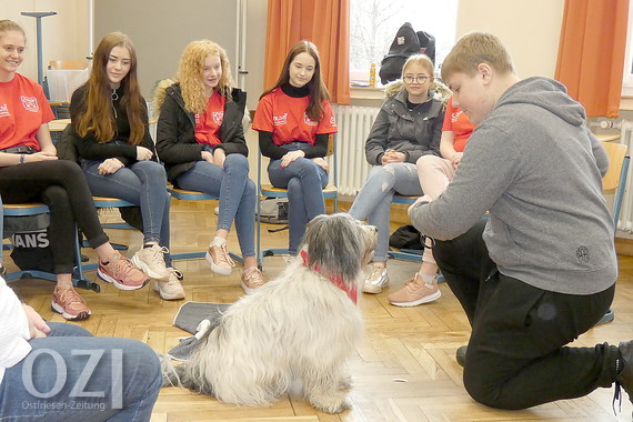 KGSSchüler sind auf den Hund gekommen OstfriesenZeitung