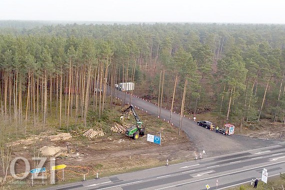 Tesla Darf Weiter Baume Fallen Gericht Lehnt Eilantrage Ab