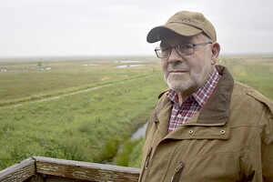 Johann Gerdes steht gerne auf der Aussichtsplattform und blickt ins Stapeler Moor. Bilder: Pröll