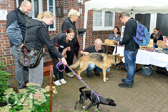 Hunde und Katzen bekamen Besuch OstfriesenZeitung