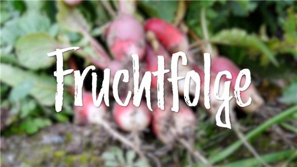 In d' Tuun: Fruchtfolge