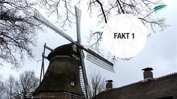 5 Fakten über Felde