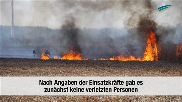 Neuschoo: Landmaschine löst Flächenbrand aus