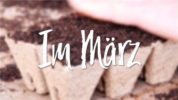 Diese Gartenarbeiten stehen im März an