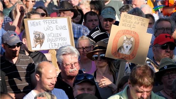 Der Wolf: Was ist die Lösung? | Anti-Wolfs-Demo in Aurich