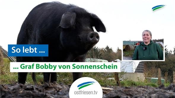 Zu Besuch bei Graf Bobby von Sonnenschein| So lebt Ostfriesland