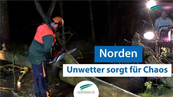 Unwetter im Landkreis Aurich: Umgestürzte Bäume legen ganze Orte lahm