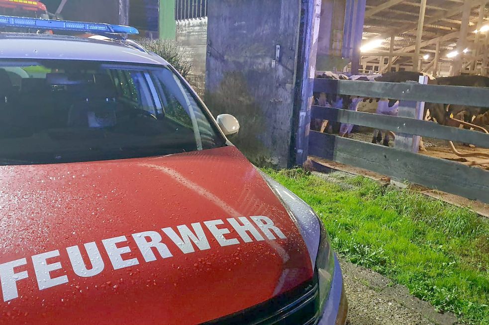 Tiere wurden bei dem Brand keine verletzt.