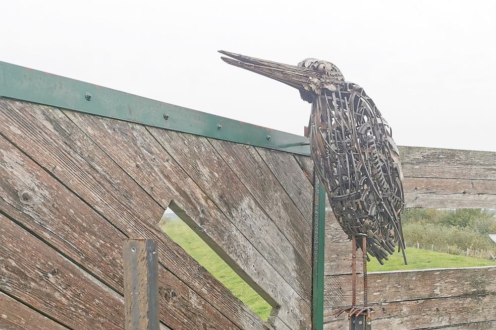 Zurückgeblieben ist der Reiher. Bild: Gemeinde Apen