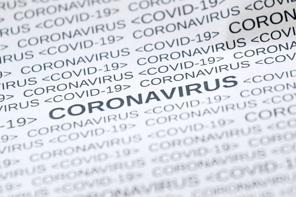 Eine Mikroskopaufnahme zeigt das Coronavirus. Im Landkreis Cloppenburg hat sich inzwischen die Kreisstadt Cloppenburg als neuer Infektionsschwerpunkt etabliert. Bild: DPA