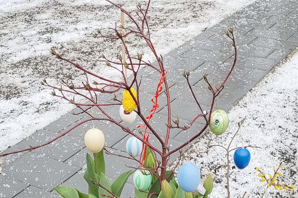 Ein Osterstrauch im Schnee – ein eher ungewöhnliches Bild. Bild: Wolters