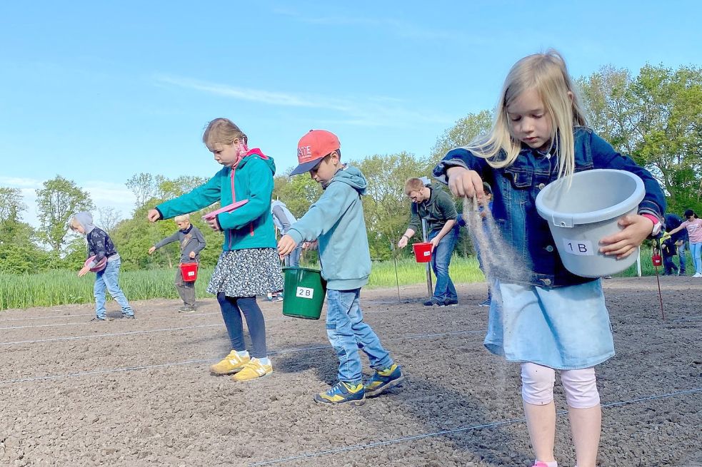 In ein paar Wochen wollen die Kinder wieder kommen, um Insektenhotels aufzustellen.