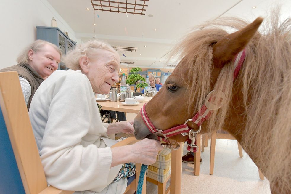 In der vergangenen Woche erhielten die Bewohnerinnen und Bewohner des Awo-Seniorenheims in Aurich Besuch von einem Pony. Diese kleine Abwechslung war von der Heimleitung arrangiert worden. Foto: Ortgies