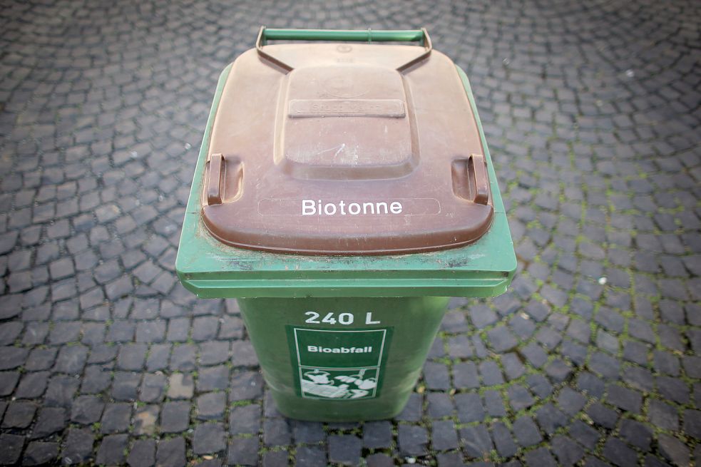 Im Sommer wird die Biotonne mitunter zum Tummelplatz für Maden. Foto: von Erichsen/dpa