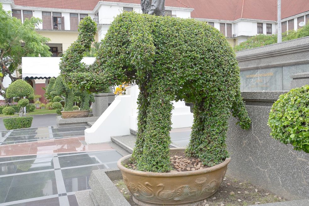 Tier statt Busch: Formschnitt ist zu einem beliebten Gartentrend geworden. Symbolfoto: pixabay.com