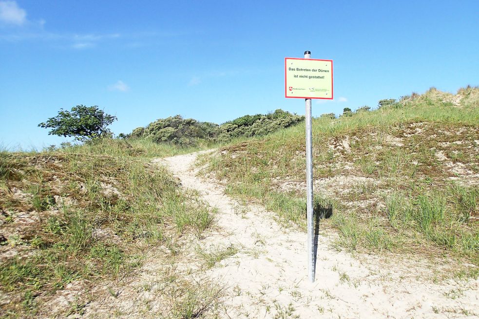 Trotz Verbots laufen immer wieder Menschen durch die Dünen. Foto: NLWKN