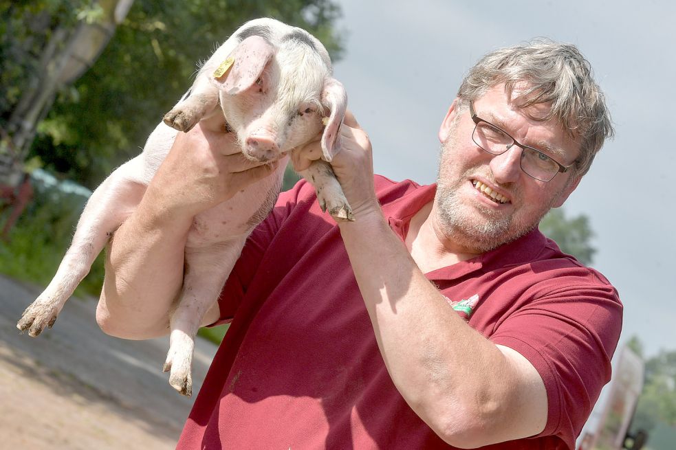 Da hilft kein Zappeln: Hinrich Campen hält ein Ferkel der Rasse Bunte Bentheimer in die Kamera. Fotos: Ortgies