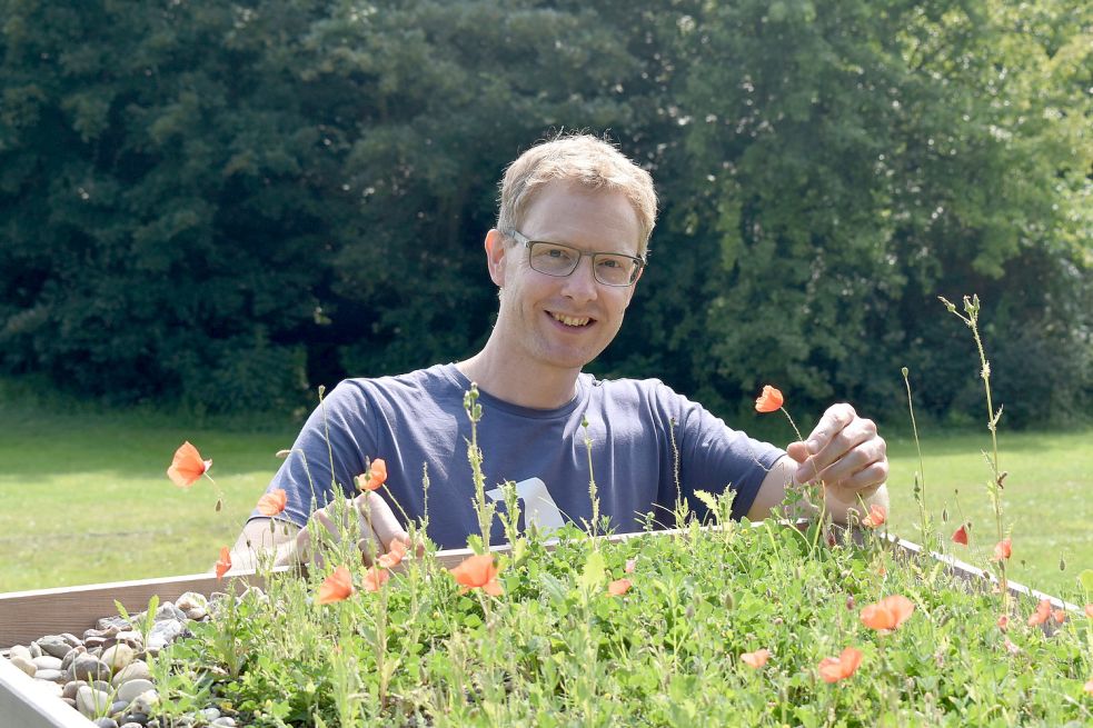 Dr. Frank Gaupels zeigt, wie Dächer begrünt werden können - auch so hübsch mit Blumen. Foto: Hanssen