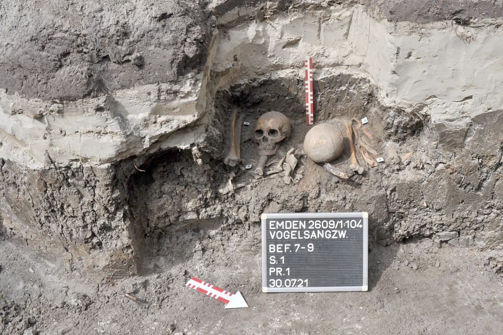Bei Erdarbeiten wurden menschliche Schädel und Gebeine freigelegt. Foto: Ostfriesische Landschaft