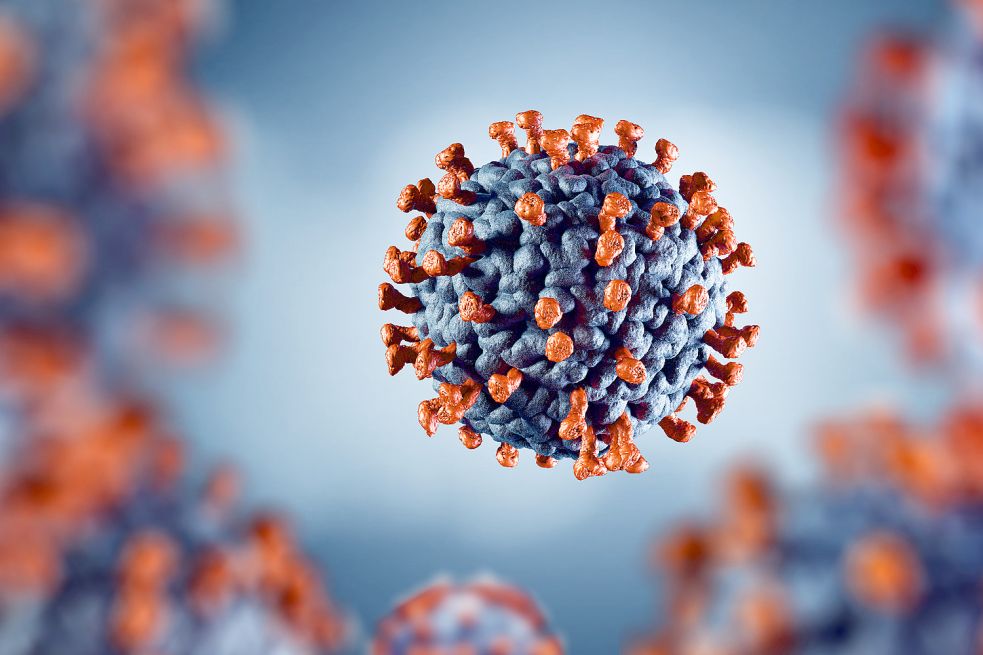 Zwölf Menschen im Kreis Leer sind zurzeit offiziell bestätigt mit dem Corona-Virus infiziert. Foto: AdobeStock