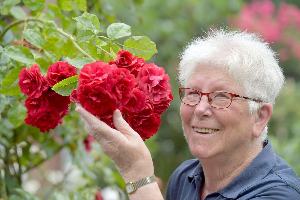 Am liebsten hat Paula Niemann es, wenn die Rosen nicht nur schöne Blüten haben, sondern auch duften. Fotos: Ortgies