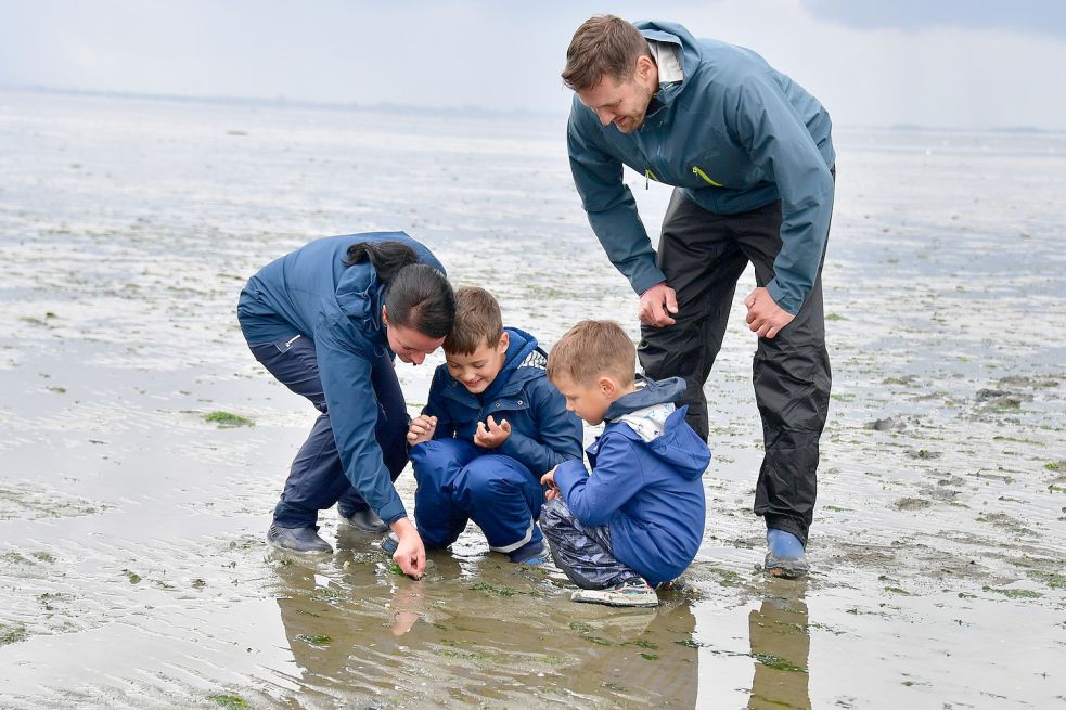 Mehrere Millionen Urlauber zieht es jedes Jahr an die Küste, so auch Diana und Lars Jakubek mit ihren Kindern Felix (links) und Tom aus Zörbig bei Dessau. Foto: Wagenaar