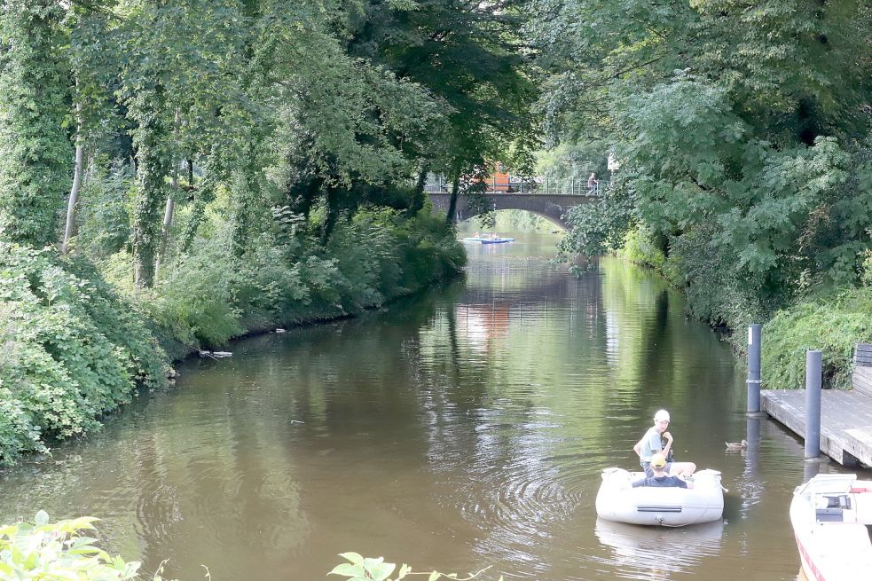 Das Ufer des Stadtgrabens entlang der Jungfernbrückstraße – hier der Blick von der Kunsthalle zur Boltentorbrücke – ist dicht bewachsen und macht einen eher ungepflegten Eindruck. Foto: Hock