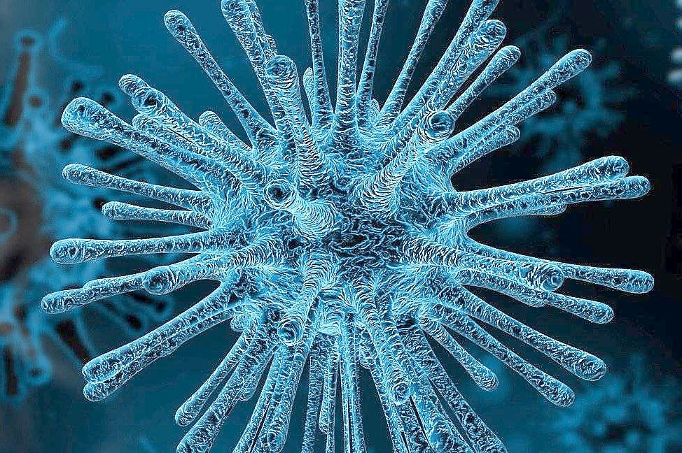 Der Landkreis Aurich meldet zahlreiche Neuinfektion mit dem Coronavirus. Symbolfoto: Pixabay