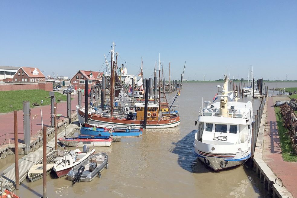 Im Hafen von Ditzum sind nicht nur Krabbenkutter zu Hause. Auch das Fahrgastschiff „Dollard“ hat dort seinen Liegeplatz. Foto: Gettkowski