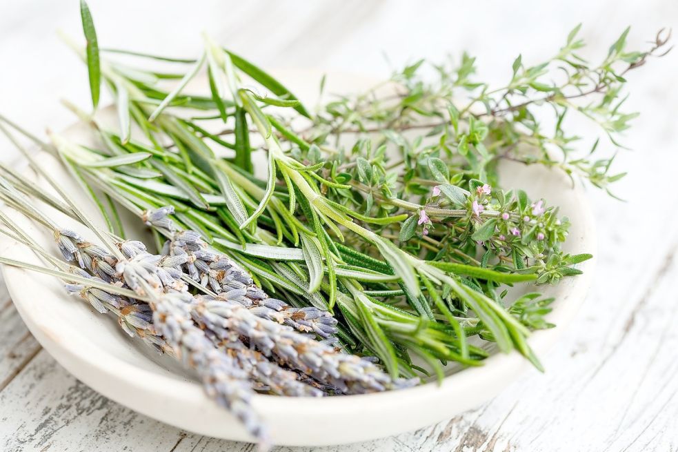 Kräuter wie (von links) Lavendel, Rosmarin und Thymian kann gut auf Vorrat trocknen. Foto: Pixabay.com