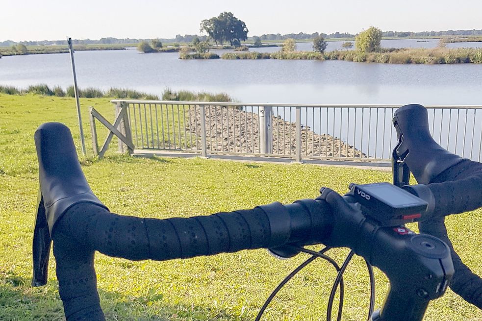 Der Holter Hammrich bietet sich für eine Pause an. Foto: Bothe