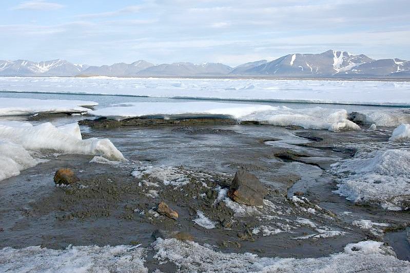 Das kleine noch unbenannte Eiland am nördlichsten Zipfel Grönlands ist möglicherweise die wohl nördlichste Insel der Welt - entdeckt wurde sie von Forschern der Universität Kopenhagen. Foto: Morten Rasch/Universität Kopenhagen/dpa
