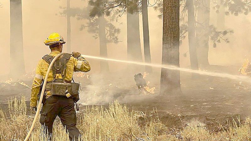 Ein Feuerwehrmann aus Los Angeles County benutzt einen Schlauch, um die Flammen des Caldor-Feuers zu löschen. Foto: Elias Funez/The Union via AP/dpa