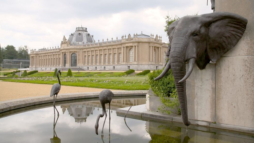 Das Königliche Museum für Zentralafrika (KMZA) im belgischen Tervuren Foto: Florian Henke/Kobalt Productions