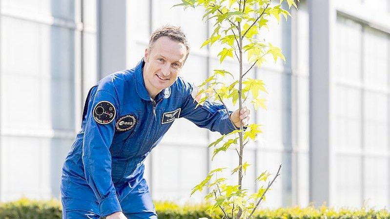 Matthias Maurer pflanzt in Köln einen Baum. Foto: Rolf Vennenbernd/dpa