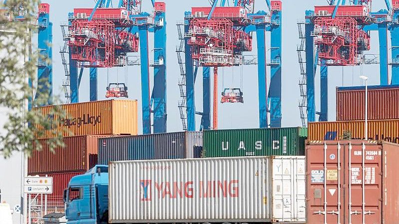 LKW liefern Container zum Beladen auf ein Containerschiff am Hamburger Tollerort-Terminal. Foto: Markus Scholz/dpa