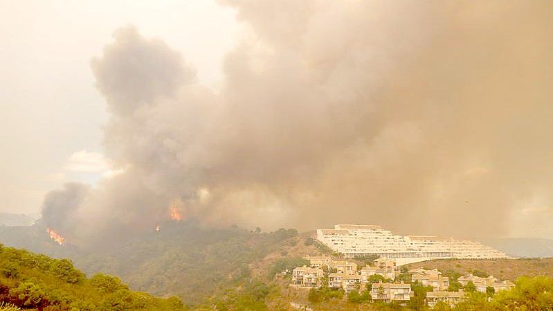Bäume brennen in der Nähe von Estepona. Foto: Álex Zea/EUROPA PRESS/dpa