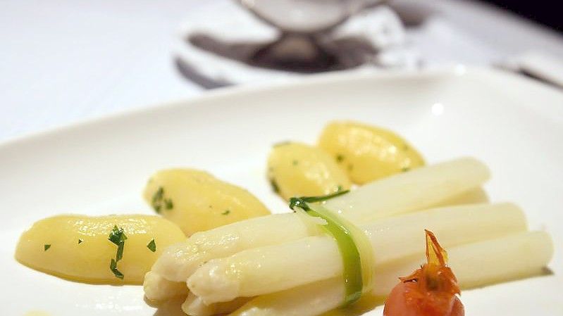 Spargel, Kartoffeln und Sauce Hollandaise - ein klassisches Lieblingsgericht. Auch von Kanzlerkandidaten. Foto: Felix Hörhager/dpa