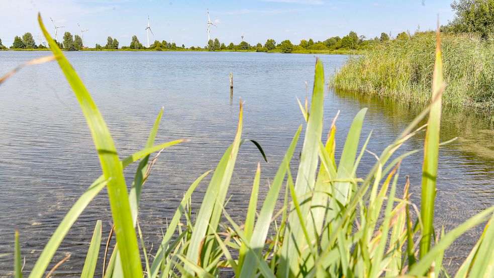 Soll aus dem großen See im Westerhammrich ein Badesee werden? Mit dieser Frage beschäftigte sich die Leeraner Politik Foto: Ortgies