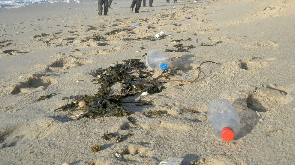 Plastikflaschen wie diese am Strand gefährden die Natur. Bild: privat