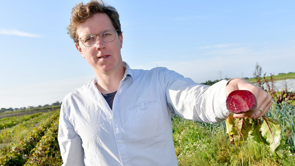 Auf dem Feld von Landwirt Heiko Dreyer in Hagenpolder bei Grimersum ist jetzt die Rote Bete reif. Fotos: Wagenaar