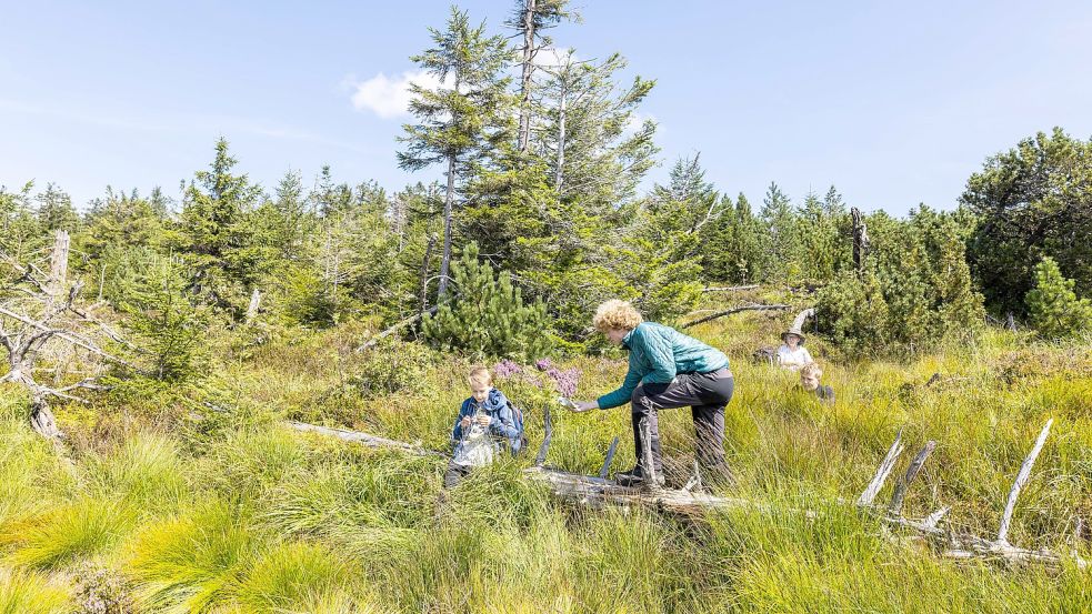 In der Leeraner „Eala Frya Fresena School“ sollen Kinder und Jugendliche „natürlich lernen“. Das machen auch Juniorranger im Schwarzwald: Statt im Unterricht wird Grundlegendes über die Natur in der Natur vermittelt. Foto: Philipp von Ditfurth/dpa