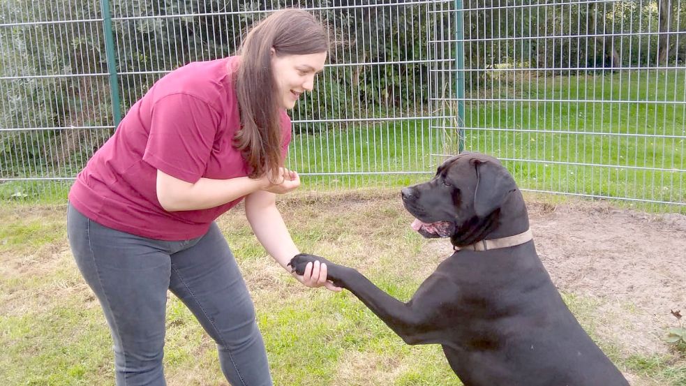 Hund Balu gibt der Tierheim-Mitarbeiterin Melanie Güldenpfennig Pfötchen. Fotos: Privat