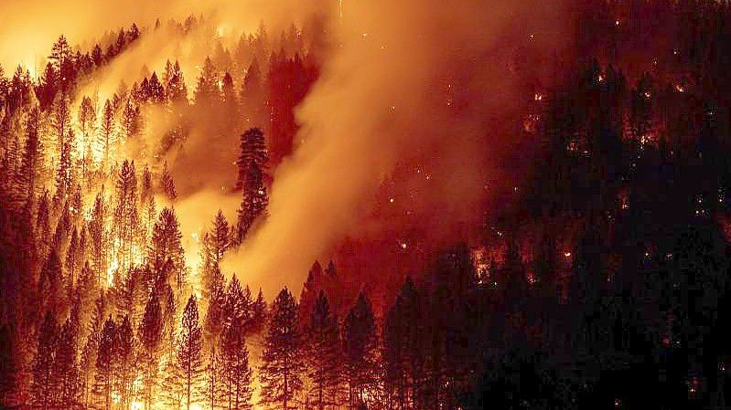 Die Flammen des Dixie-Feuers in Genesee, Kalifornien im August. Foto: Ethan Swope/FR171736 AP/dpa