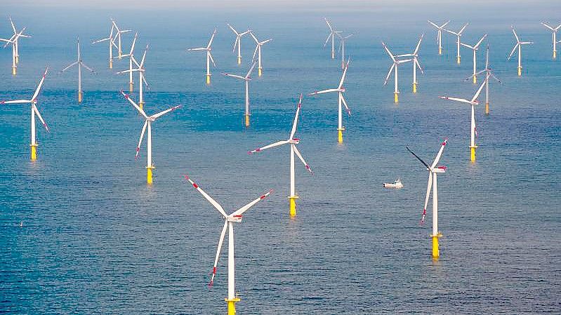 Der Offshore-Windpark „Butendiek“ vor der Insel Sylt in der Nordsee. Foto: Daniel Reinhardt/dpa