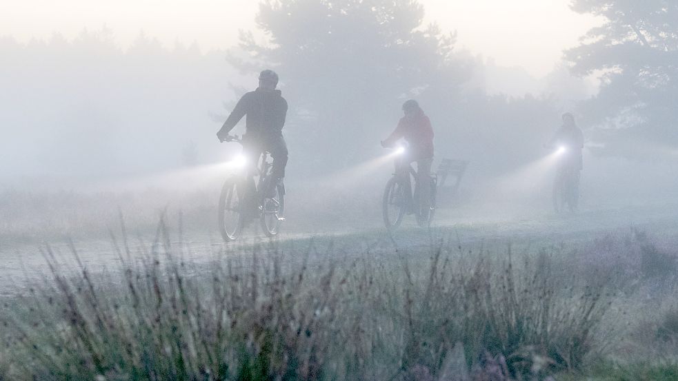 Eine Gruppe fährt morgens mit E-Bikes durch die Lüneburger Heide. In Niedersachsen sind die Elektroräder so beliebt wie in keinem anderen Bundesland. Foto: Schulze/DPA