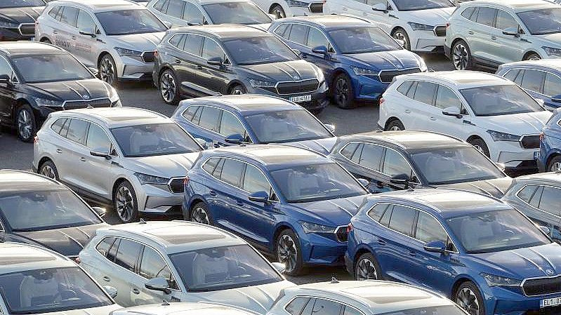 Die Volkswagen-Tochter Skoda kann nach den Worten von Spartenchef Thomas Schäfer wegen fehlender Halbleiter in diesem Jahr 100.000 Autos nicht bauen. Foto: Slavek Ruta/ZUMA Wire/dpa