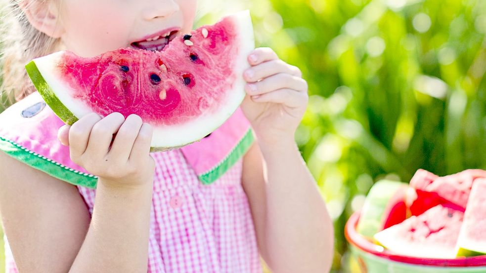 Ein neues Projekt bei der Kindertagesstätte Hollen soll zur gesunden Ernährung beitragen. Symbolfoto: Pixabay